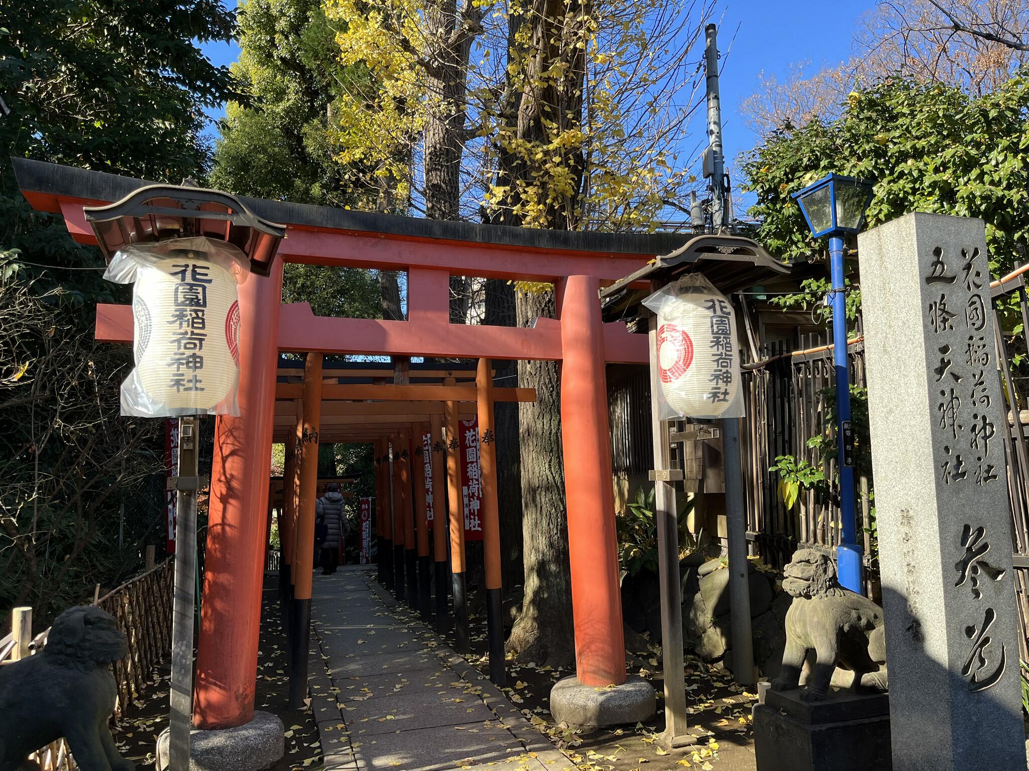 Đền Hanazono Inari ở Tokyo den-hanazono-inari-matsuri